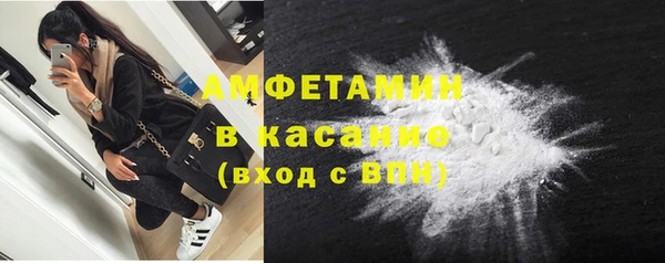 индика Богородск