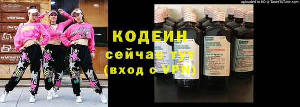 индика Богородск