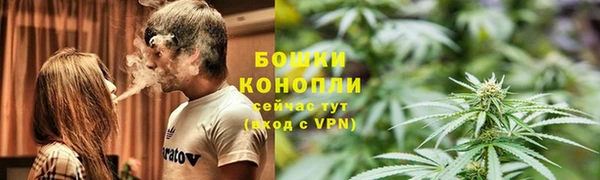 дживик Богданович