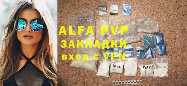 индика Богородск