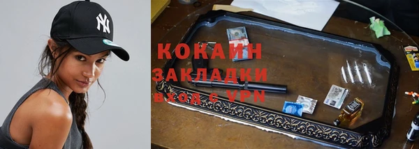 индика Богородск