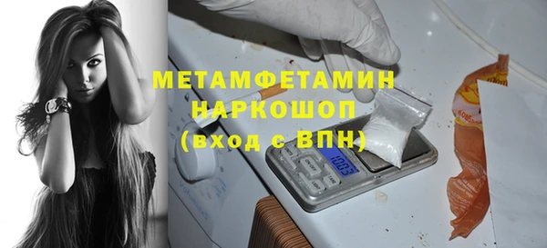 индика Богородск