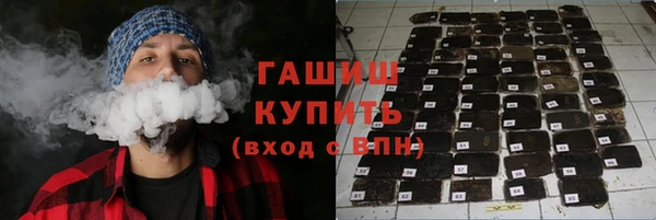 индика Богородск