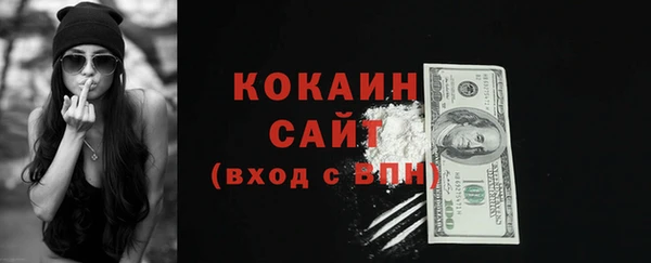 индика Богородск