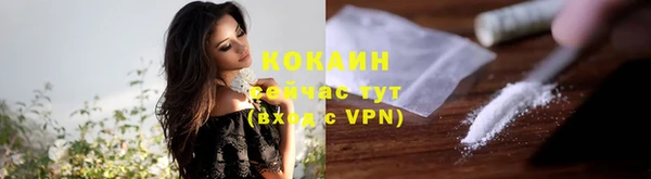 дживик Богданович