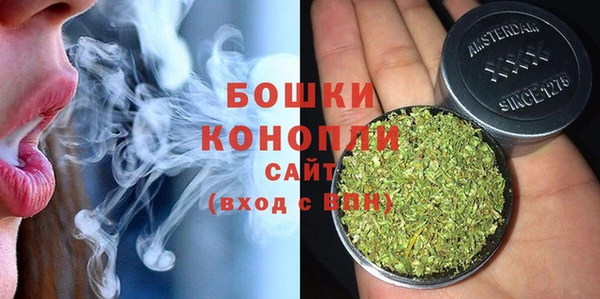 дживик Богданович