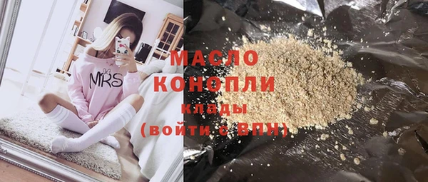 индика Богородск