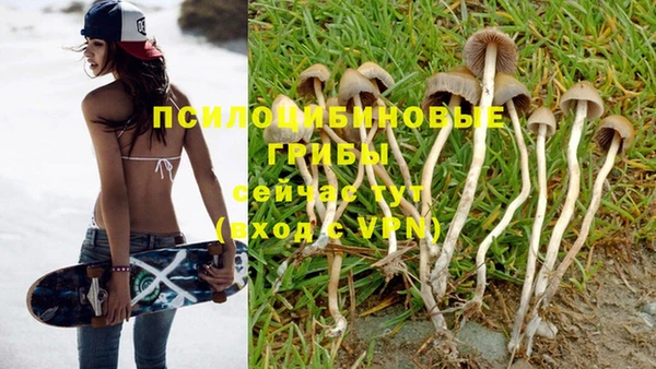 дживик Богданович