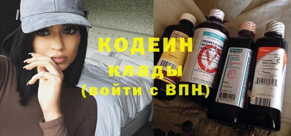индика Богородск