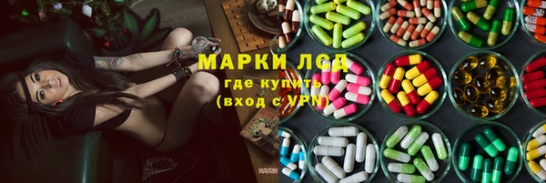 индика Богородск