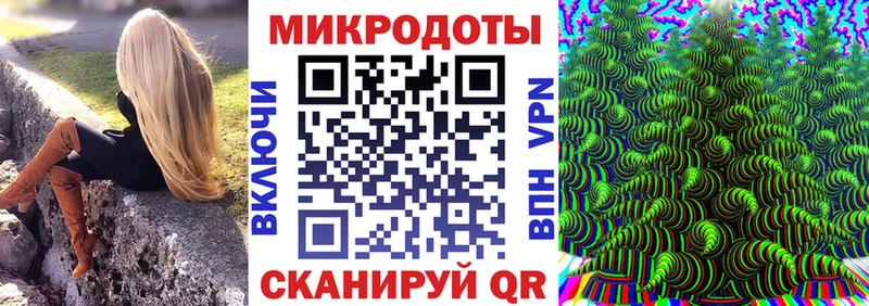 продажа наркотиков  Чегем  Галлюциногенные грибы прущие грибы 