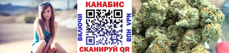 Шишки марихуана сатива  Чегем 